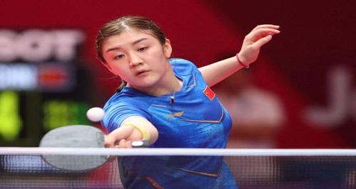 而本轮的一 而本轮的一